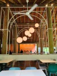 Hidden Café in the Forest – Lunch at Pineyard