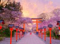 🌸 Secret Sakura Spot Alert: Hirano Shrine’s Midnight Magic! 🌙✨