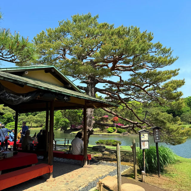 大井中央公園·日式夢幻