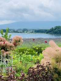 【山梨】富士山をバックに河口湖とラベンダーを望めるスポット