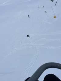 Skiing in Gudauri Ski Resort