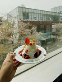Springtime in Seoul: A Season of Blossom