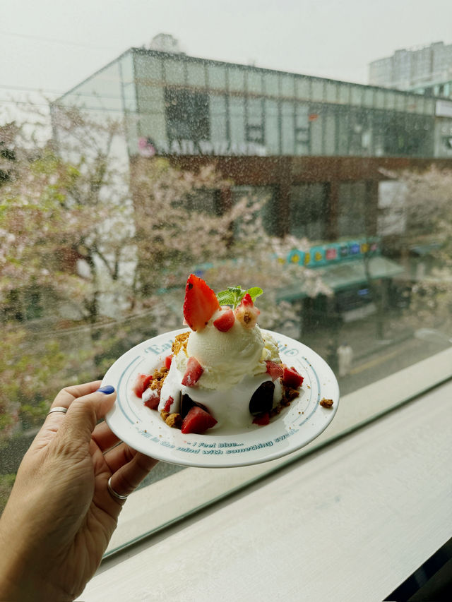 Springtime in Seoul: A Season of Blossom