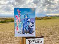 🎢 絶景ドライブ！「ジェットコースターの路」で爽快感を満喫