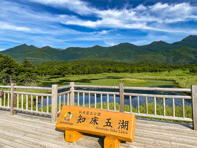 高架木道🌳🌲で自然を感じる旅