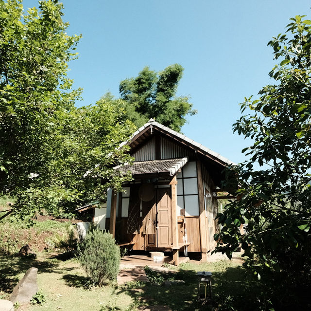 Mori Natural Farm – ฟาร์มธรรมชาติ