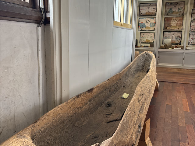 【北海道】剥製に囲まれる体験【網走市立郷土博物館】