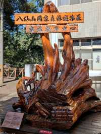 #八仙山國家森林遊樂區- 臺中市和平區