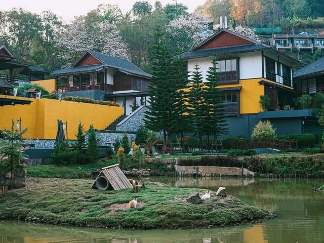 Onsen At Moncham