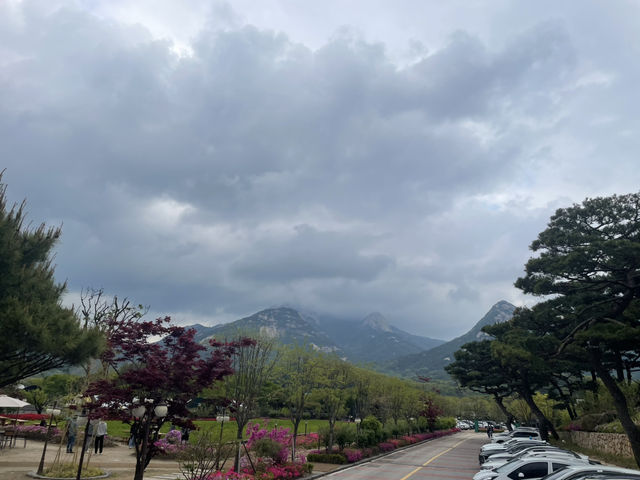 이름처럼 정말 그림같은 풍경과 맛을 자랑하는 북한산 파노라마 베이커리카페