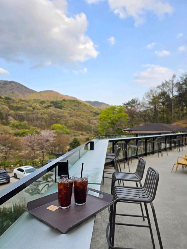 사랑스런 동백꽃 포토존이 아름답던 부산카페🌺