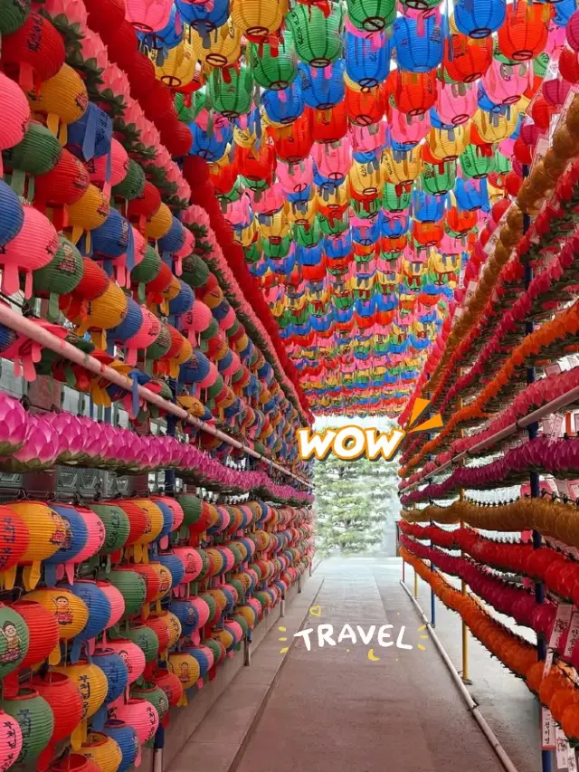 ✨Annyeong, Adventures! – Dive Into the Magic of Seoul 🇰🇷❤️