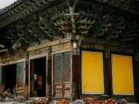 Bulguksa Temple – A Timeless Journey into Korea’s Spiritual Beauty