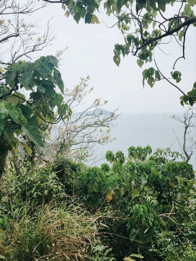 Hong Kong’s Hidden Edge: A Quiet Day at Cape D’Aguilar