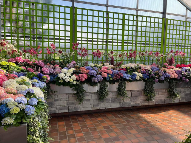Spring in Full Bloom – Royal Botanical Gardens