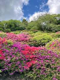 Spring Hike at Himenosawa Park