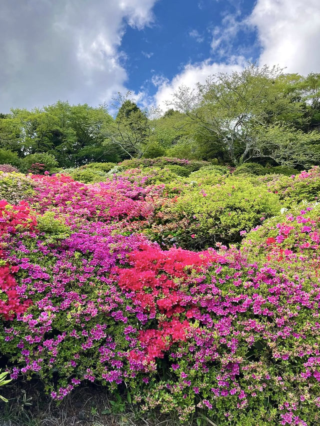 Spring Hike at Himenosawa Park