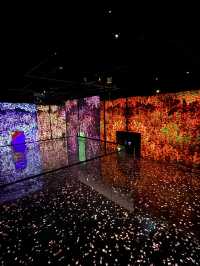 ｛韓國釜山｝ 韓國最大的藝術燈影博物館 - 釜山Arte Museum