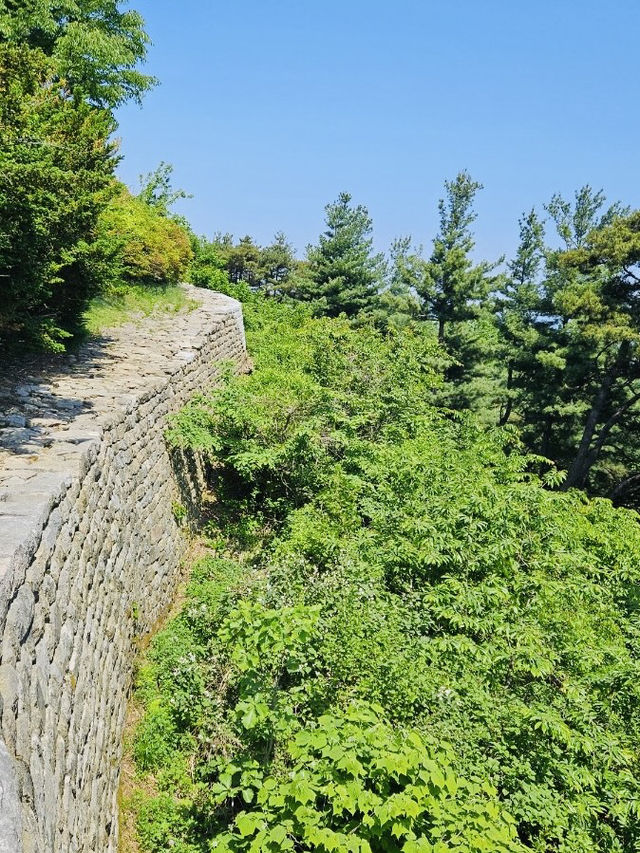A Nice Walk in the Woods at Bomunsan Happiness Forest Path Center