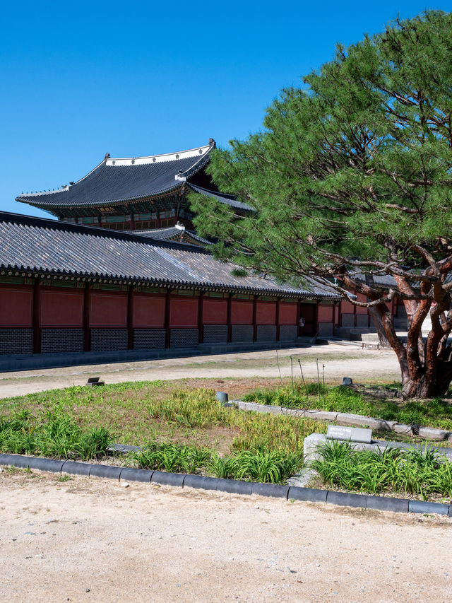 【ソウル】朝鮮王朝時代にタイムスリップ！？
