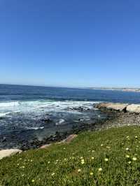 🐬 샌디에고 La Jolla Cove, 바다사자와 함께하는 해변!