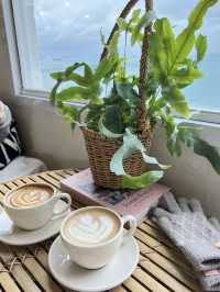 The Cutest Café by the Sea in Busan – Picture-Perfect & Peaceful