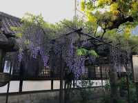 A Quiet, Hidden Gem in Kyoto
