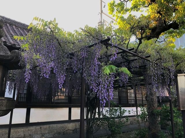 A Quiet, Hidden Gem in Kyoto