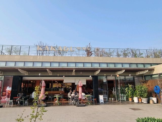 카카두 vr 카페