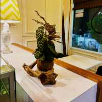 Refined Tradition at Moka Artisan Coffee