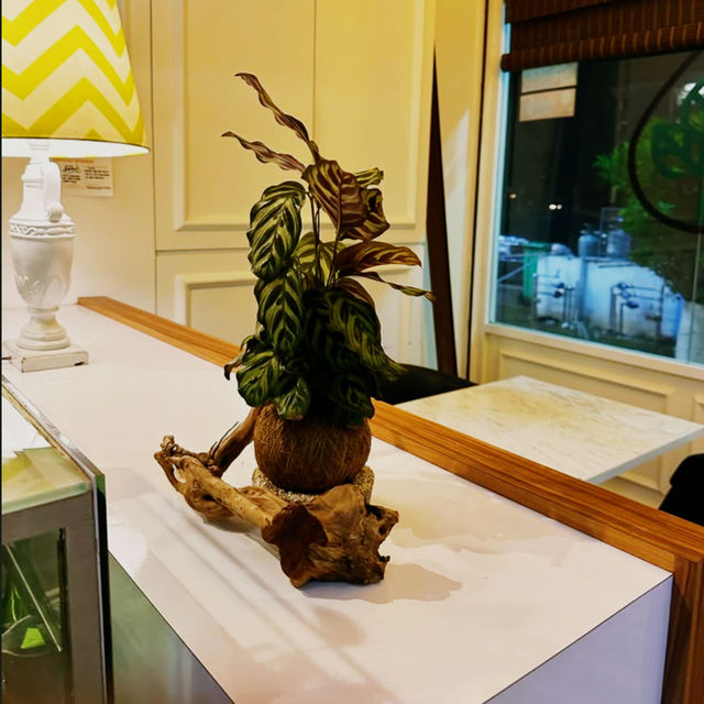 Refined Tradition at Moka Artisan Coffee