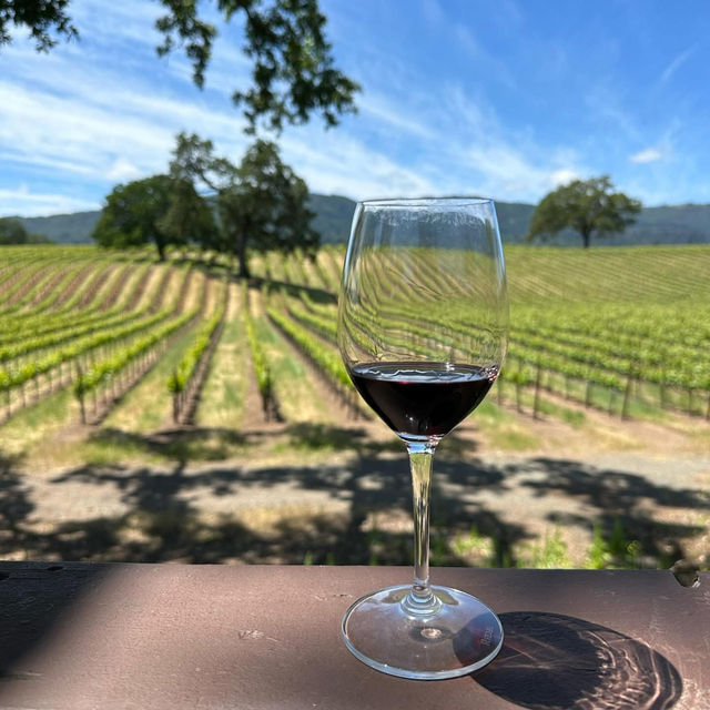 Sip, swirl, and slow down—B.R. Cohn Winery, where every glass tells a story.