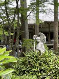 京都三千院的綠色青苔🍃🏯