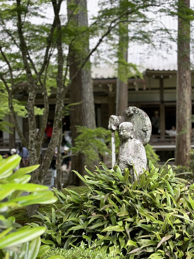 京都三千院的綠色青苔🍃🏯