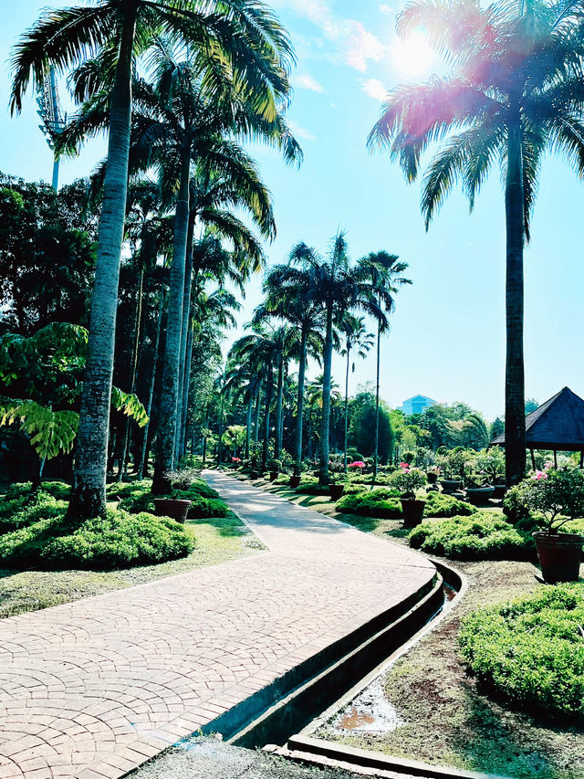 MBKS Kuching Park: A Serene Green Haven for All Ages