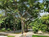 HortPark – Singapore’s Serene Oasis for Nature Lovers and Garden Enthusiasts