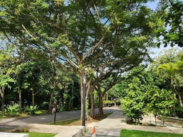 HortPark – Singapore’s Serene Oasis for Nature Lovers and Garden Enthusiasts