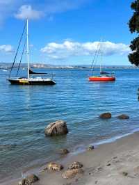 Tauranga – Where Coastal Charm Meets Adventure