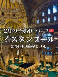 イスタンブール3泊4日の旅程とポイント【子連れトルコ】