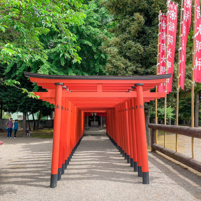 일본 구마모토 필수 여행지 스이젠지 조주엔 🇯🇵🍃