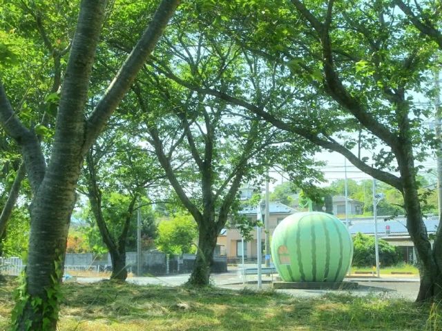 Title: Nagasaki – A City of History, Healing, and Harmony