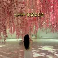 아직 벚꽃이랑 사진을 찍을 수 있는 쇼핑 핫플이있다고?🌸