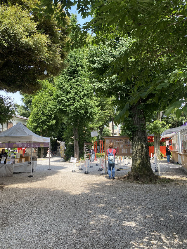 【東京都品川🇯🇵 蛇窪神社】東京の白蛇さまへ☺️