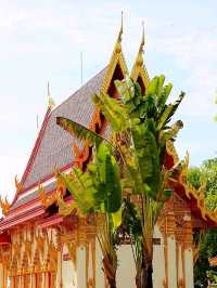 วัดถ้ำผาแด่น ดินแดนพุทธบนเทือกเขา