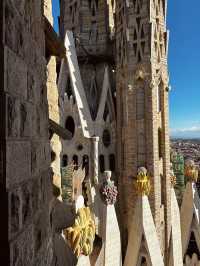 Awestruck by the Majesty of Sagrada Família ⛪️✨