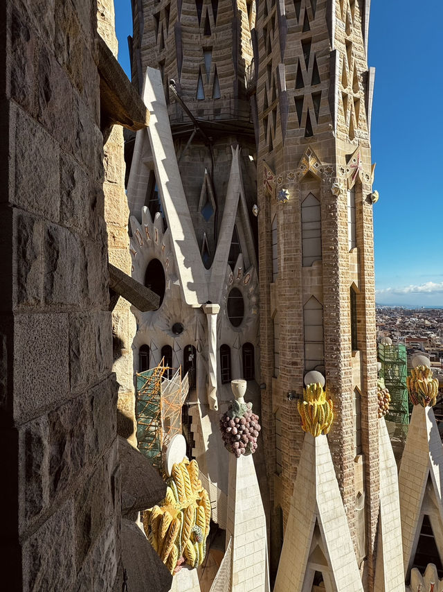 Awestruck by the Majesty of Sagrada Família ⛪️✨