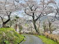 The amazing Oyama Park