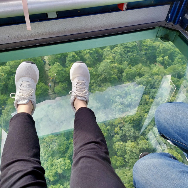 昂坪360與天壇大佛：空中與文化完美旅程 🚡 