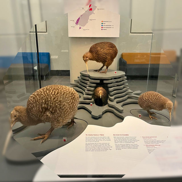 【NZ】🌿オークランド観光1日モデルコース🌊✨