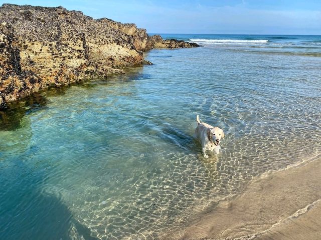 Cornwall: England’s Wild and Wonderful Coastline